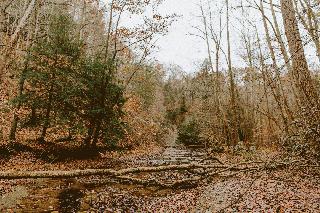 Stream in the Fall